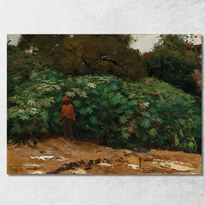 Castor Bean Plants In The Hill Of Sao Bento Eliseu Visconti evs30 canvas print 