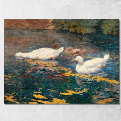 Ducklings In The Lake Eliseu Visconti evs50 canvas print 