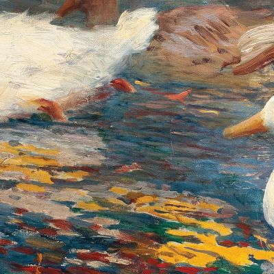 Ducklings In The Lake Eliseu Visconti evs50 canvas print