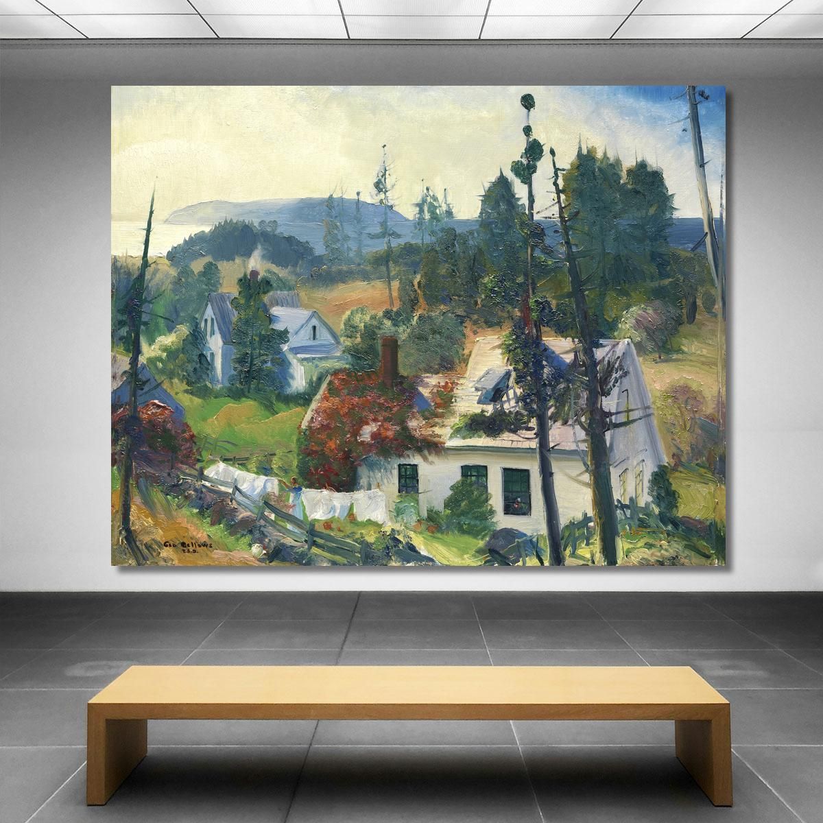 The Red Vine Matinicus Island Maine George Bellows gbl23 canvas print 