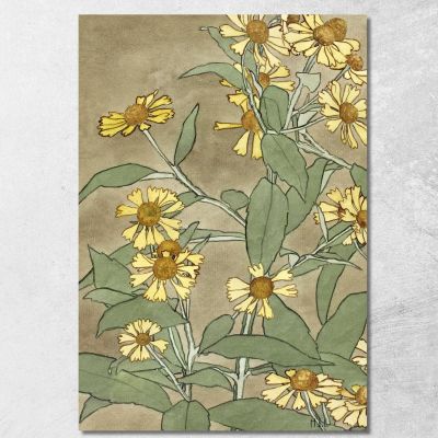 Daisies With Orange Center And Yellow Petals Hannah Borger Overbeck hbo7 canvas print 