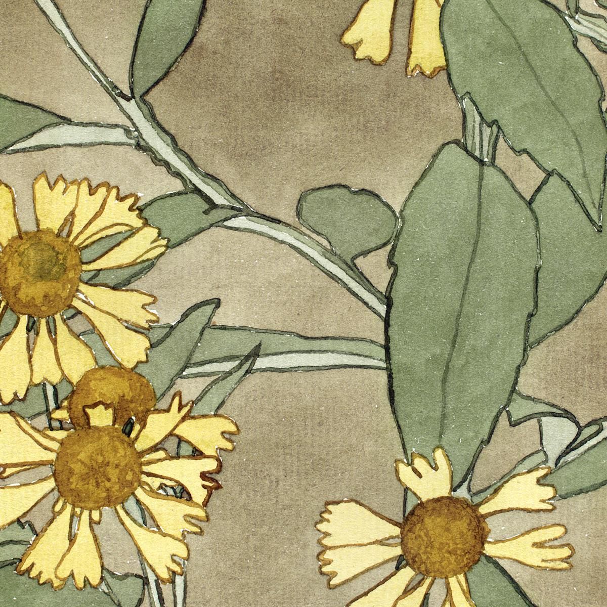 Daisies With Orange Center And Yellow Petals Hannah Borger Overbeck hbo7 canvas print