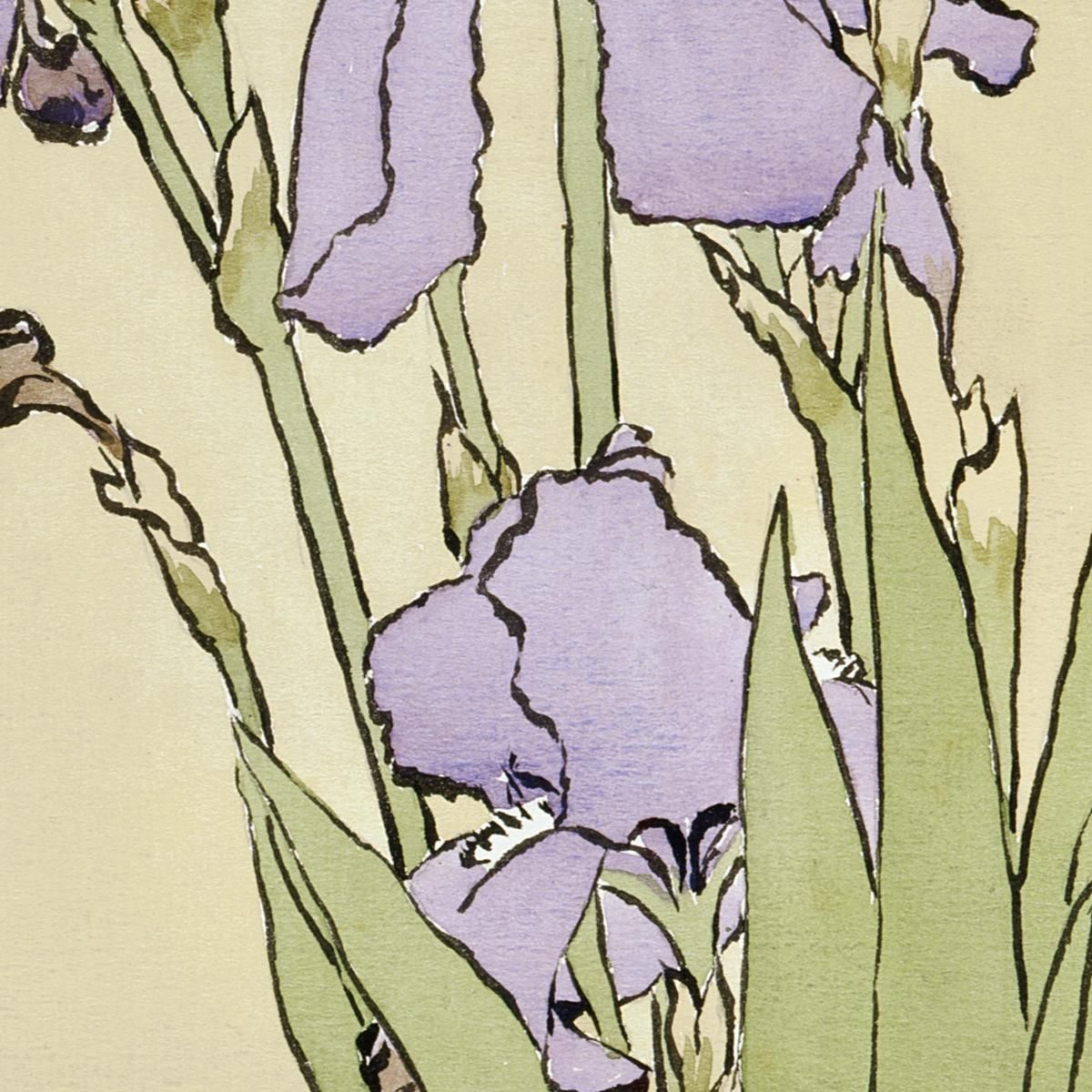 Iris Hannah Borger Overbeck hbo10 canvas print