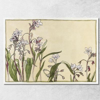Spring Beauty Hannah Borger Overbeck hbo16 canvas print 