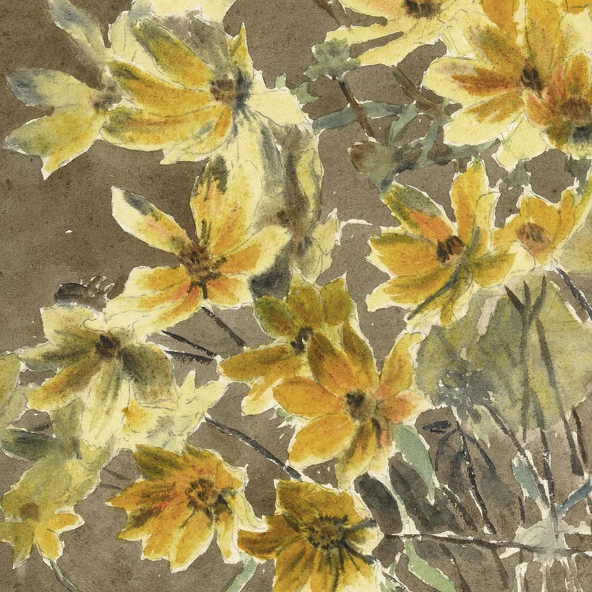 Yellow Flower With Border Hannah Borger Overbeck hbo20 canvas print