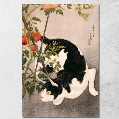 Black Cat And Tomato Plant Hiroaki Takahashi htk2 canvas print 