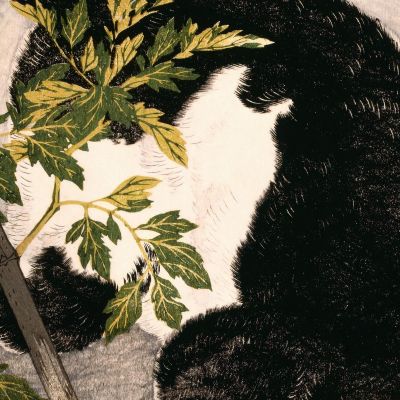 Black Cat And Tomato Plant Hiroaki Takahashi htk2 canvas print