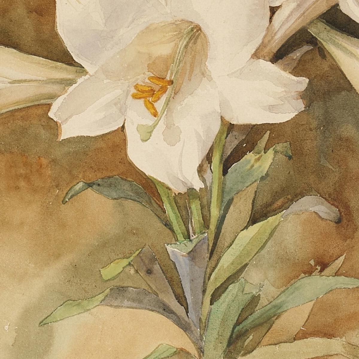 Still Life Of Easter Lilies John La Farge jlf27 canvas print