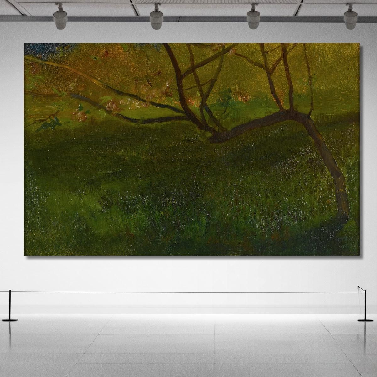Study Of Apple Tree. Spring John La Farge jlf28 canvas print 