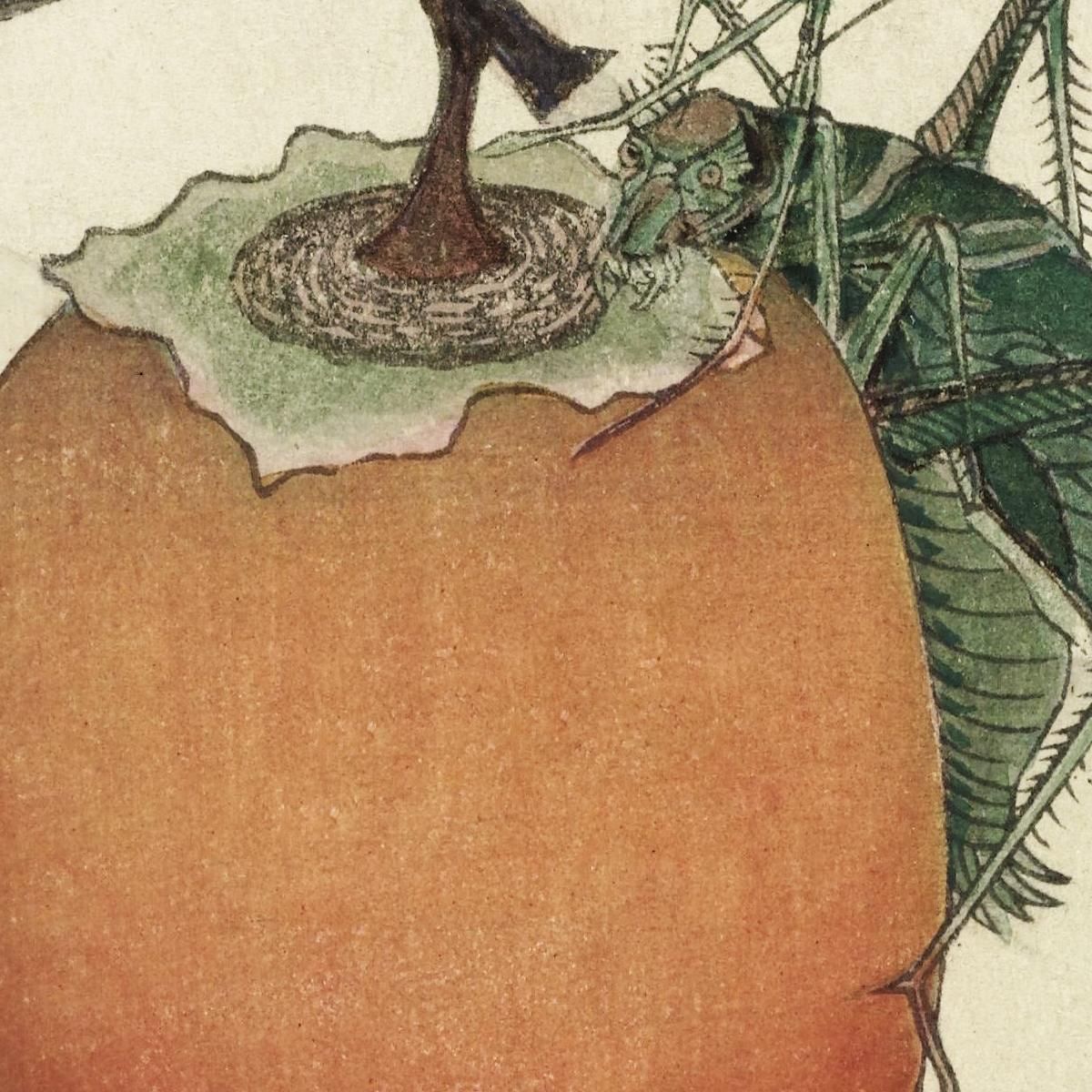 Persimmon Fruit With Grasshopper katsushika hokusai khk28 canvas print