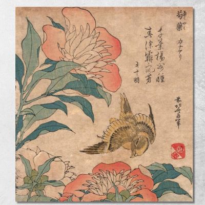 Shakuyaku Kana Ari 2 katsushika hokusai khk62 canvas print 