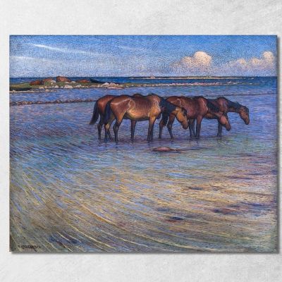 Horses Cooling Themselves In Water Nils Kreuger nkr28 canvas print 