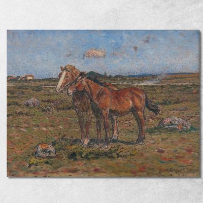 In The Wind Nils Kreuger nkr31 canvas print 