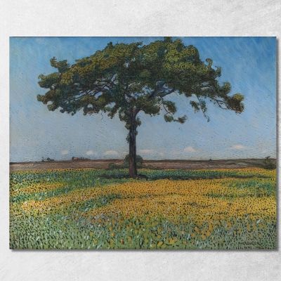 Young Oak Nils Kreuger nkr62 canvas print 