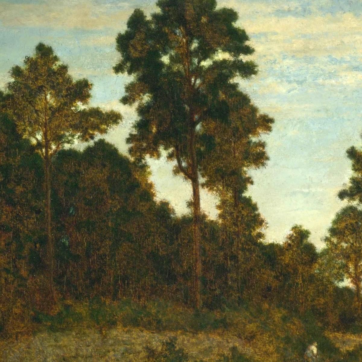 Rider At The Edge Of A Wood Théodore Rousseau trs9 canvas print