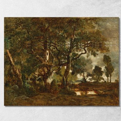 Forest Of Fontainebleau Cluster Of Tall Trees Overlooking The Plain Of Clair-Bois At The Edge Of Ba Théodore Rousseau trs12 can