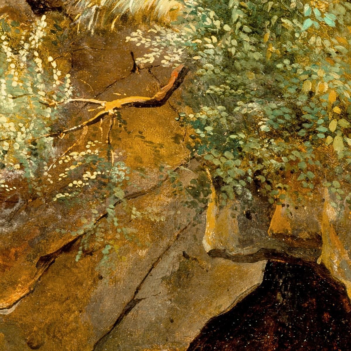 The Cave Théodore Rousseau trs35 canvas print