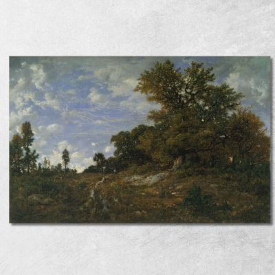 The Edge Of The Woods At Monts-Girard Fontainebleau Forest Théodore Rousseau trs36 canvas print 