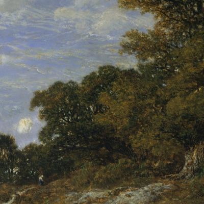 The Edge Of The Woods At Monts-Girard Fontainebleau Forest Théodore Rousseau trs36 canvas print