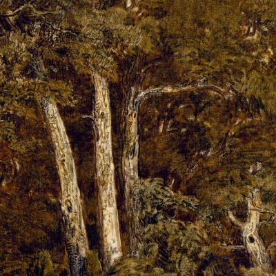 The Great Oaks Of Old Bas-Bréau Théodore Rousseau trs38 canvas print