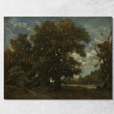 The Oak Tree Théodore Rousseau trs40 canvas print 