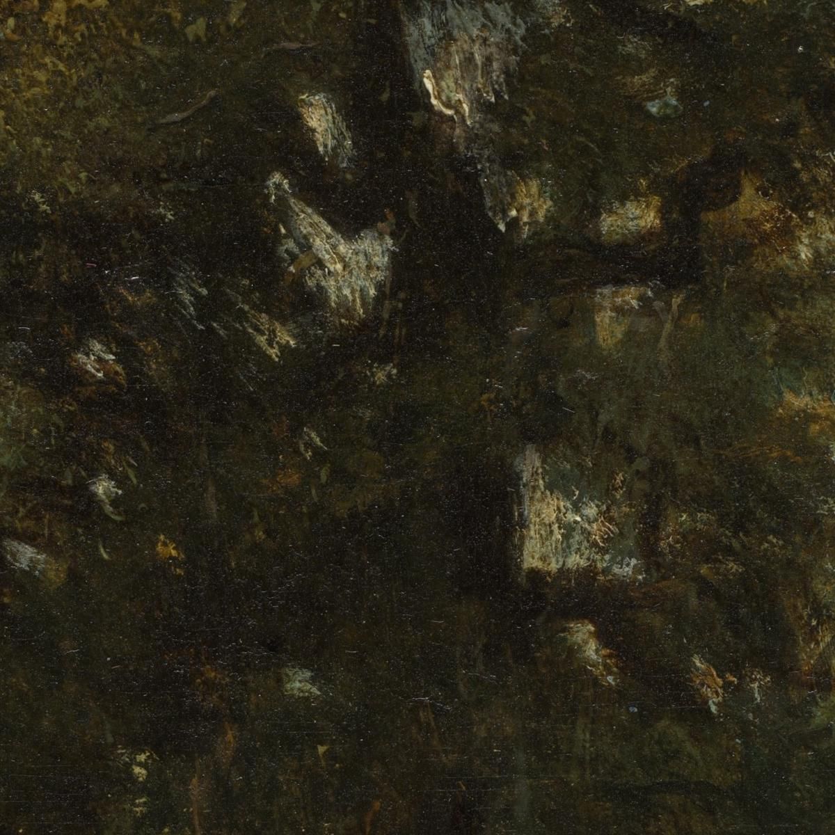 The Oak Tree Théodore Rousseau trs40 canvas print