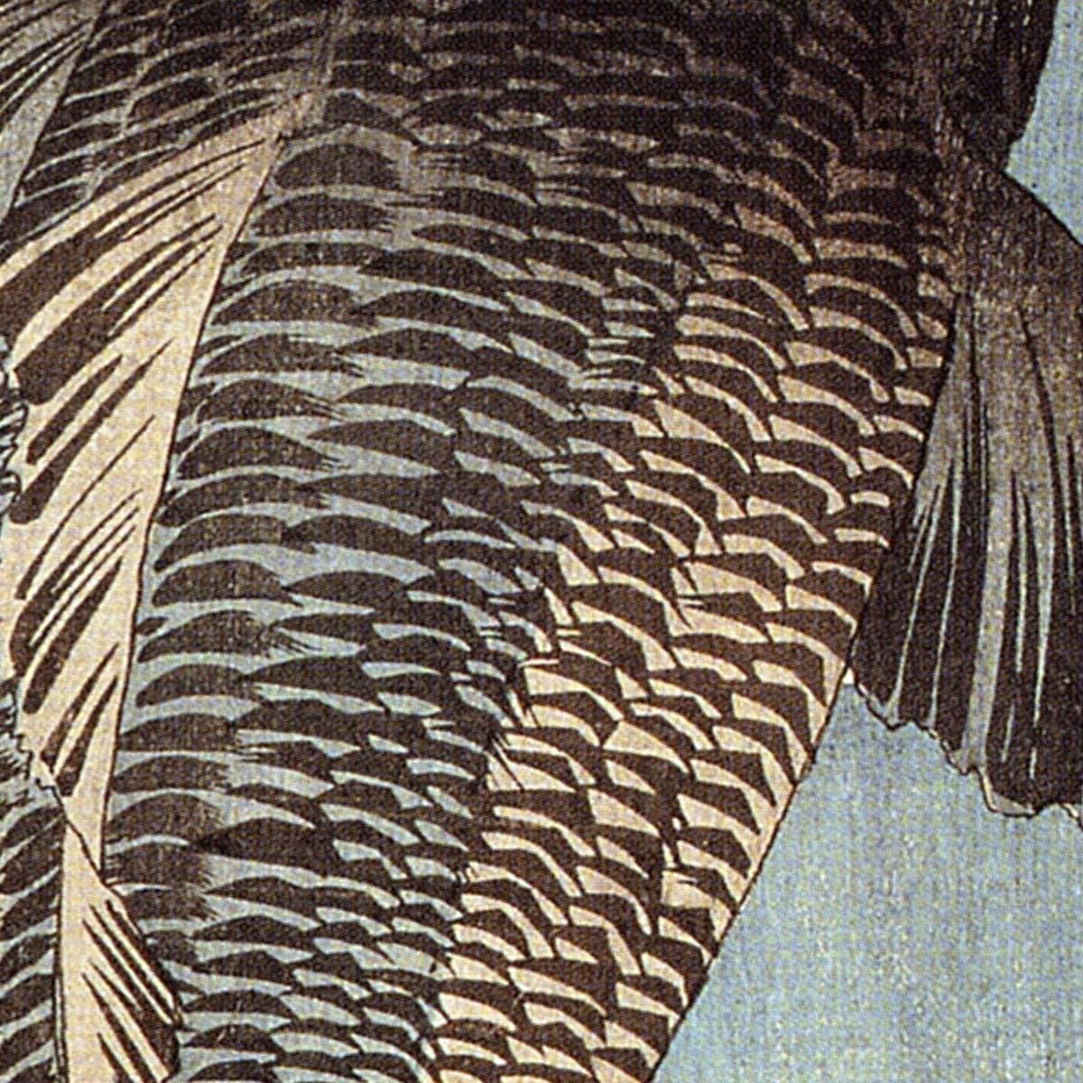 Black Carp Utagawa Kuniyoshi ukn4 canvas print