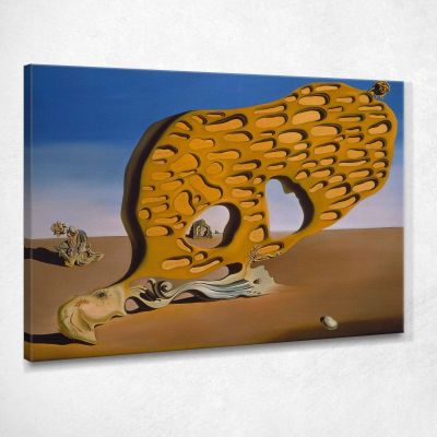 The Enigma Of Desire  Salvador Dali sd14 canvas print 