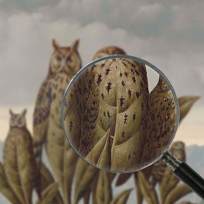 Companions Of Fear René Magritte rm2 canvas print