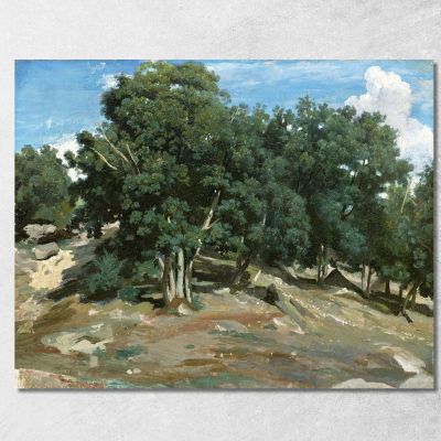 Fontainebleau Oak Trees At Bas-Bréau Camille Pissarro cps26 canvas print