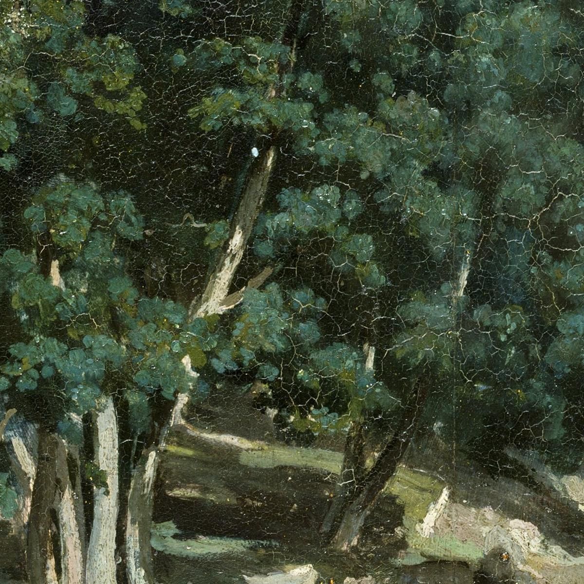 Fontainebleau Oak Trees At Bas-Bréau Camille Pissarro cps26 canvas print