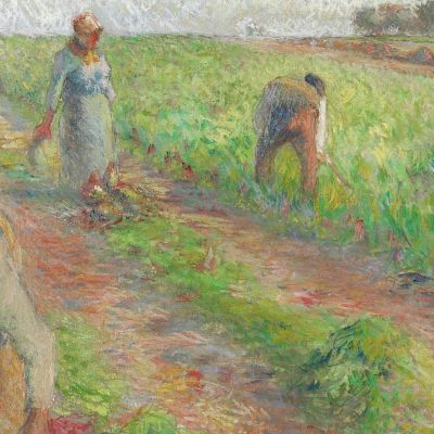 The Beet Harvest 1881 Camille Pissarro cps70 canvas print