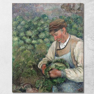 The Gardener - Old Peasant With Cabbage 1883-1895 Camille Pissarro cps79 canvas print 