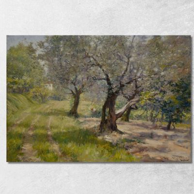 The Olive Grove William Merritt Chase wmc100 canvas print 