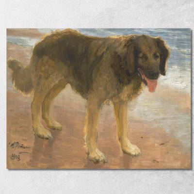 Nord Ilya Efimovich Repin ier7 canvas print 
