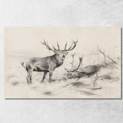 Defeat Red Deer Wilhelm Kuhnert wkh3 canvas print 