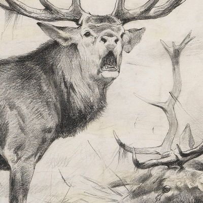 Defeat Red Deer Wilhelm Kuhnert wkh3 canvas print