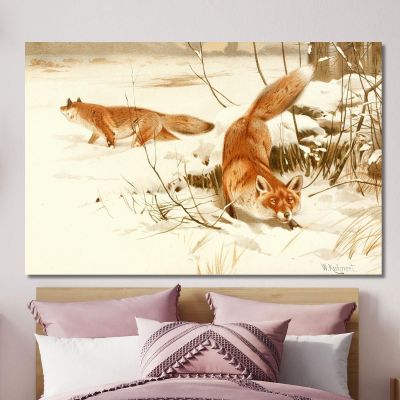 Common Fox Wilhelm Kuhnert wkh5 canvas print 