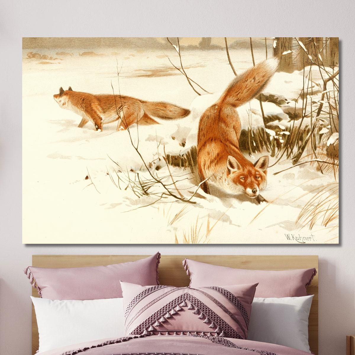 Common Fox Wilhelm Kuhnert wkh5 canvas print 