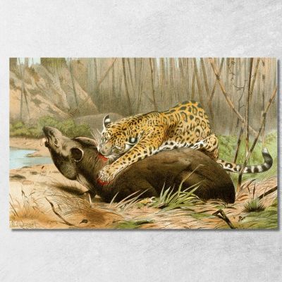 Jaguar Killing Tapir Wilhelm Kuhnert wkh21 canvas print 