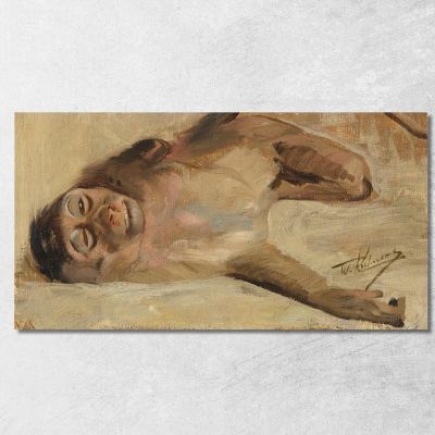 Pig-Tailed Macaque Wilhelm Kuhnert wkh37 canvas print 