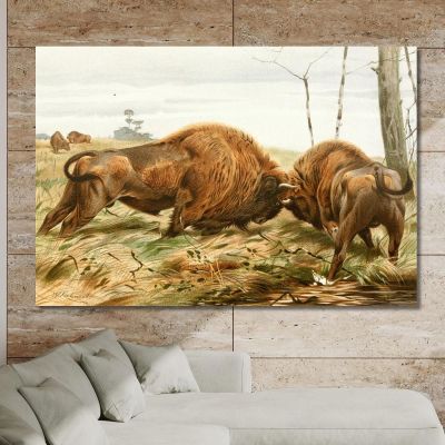 The European Bison Wilhelm Kuhnert wkh41 canvas print 