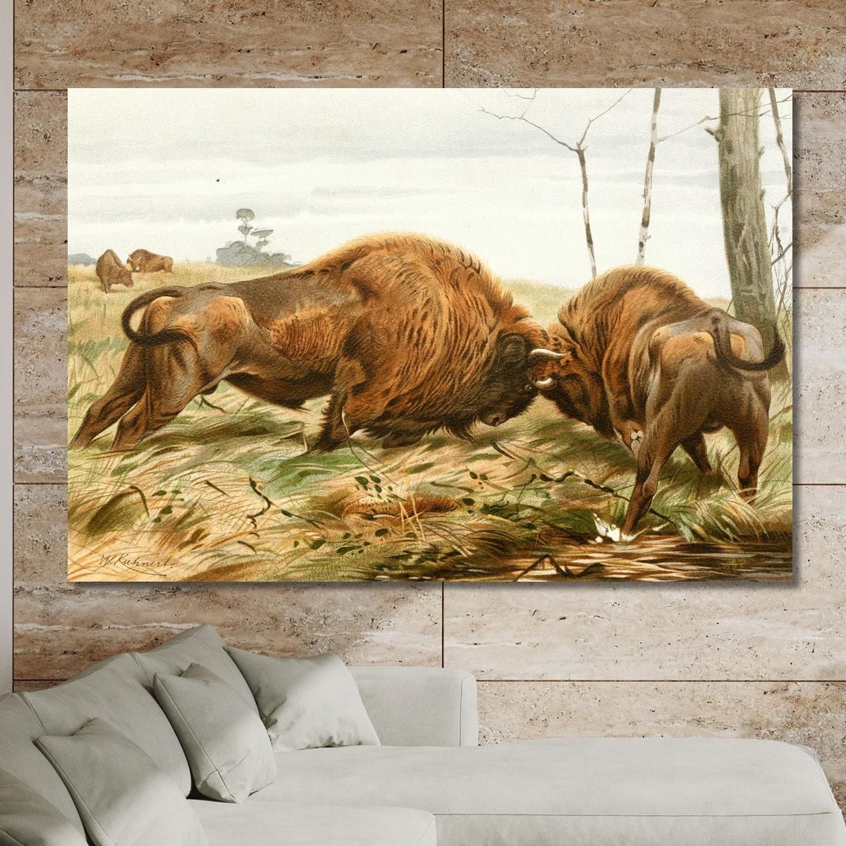 The European Bison Wilhelm Kuhnert wkh41 canvas print 