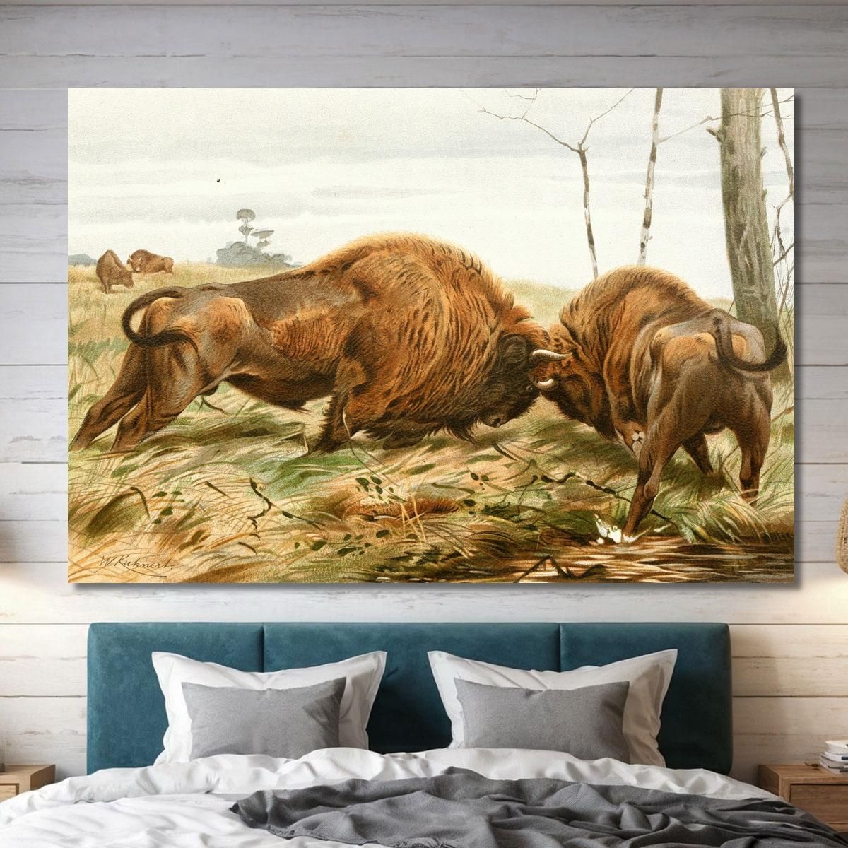 The European Bison Wilhelm Kuhnert wkh41 canvas print 
