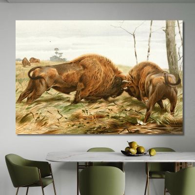 The European Bison Wilhelm Kuhnert wkh41 canvas print 