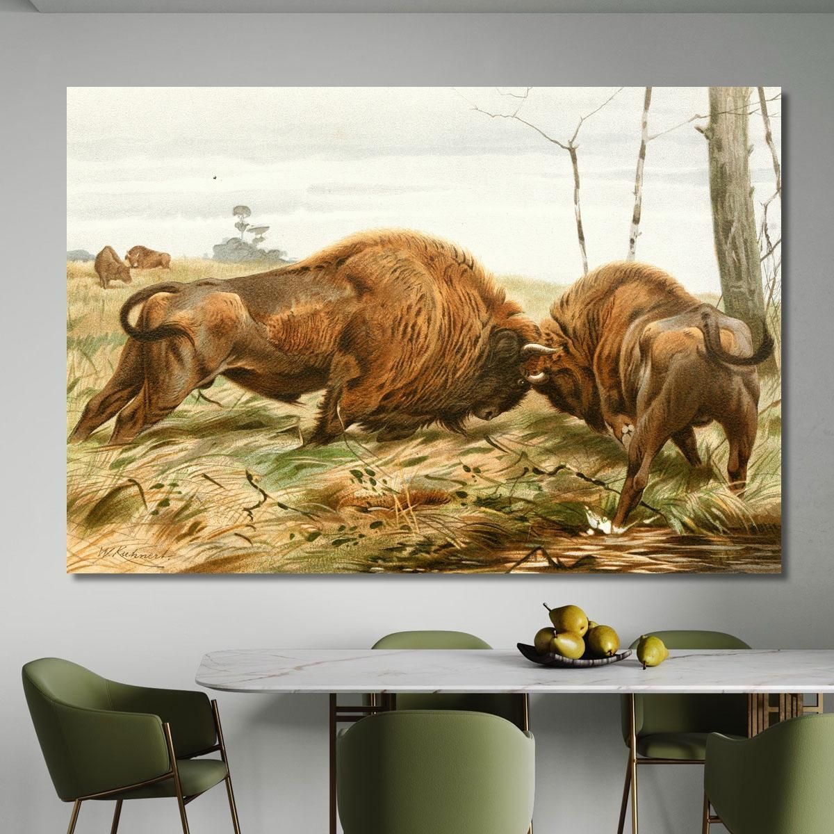 The European Bison Wilhelm Kuhnert wkh41 canvas print 