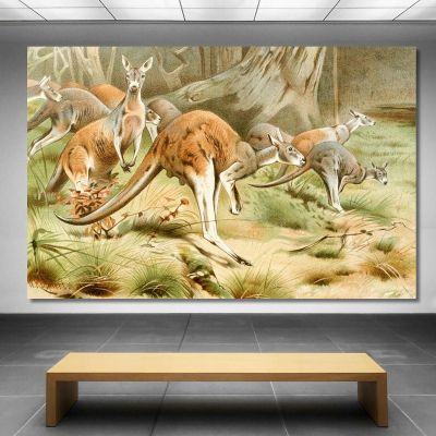 The Red Kangaroo Wilhelm Kuhnert wkh43 canvas print 