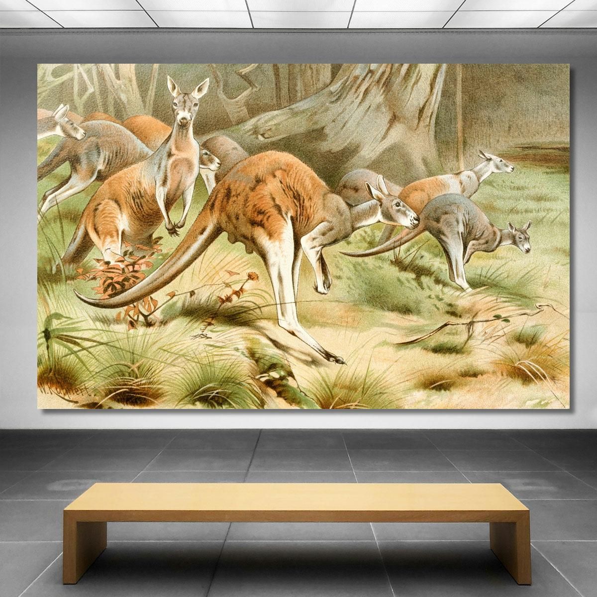 The Red Kangaroo Wilhelm Kuhnert wkh43 canvas print 