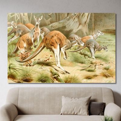 The Red Kangaroo Wilhelm Kuhnert wkh43 canvas print 