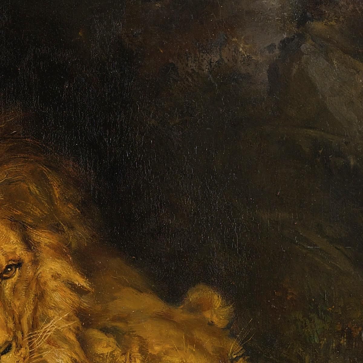 Two Lions In A Cave Wilhelm Kuhnert wkh46 canvas print